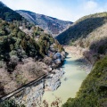 20150219-PRS 1094 Kyoto Arashiyama