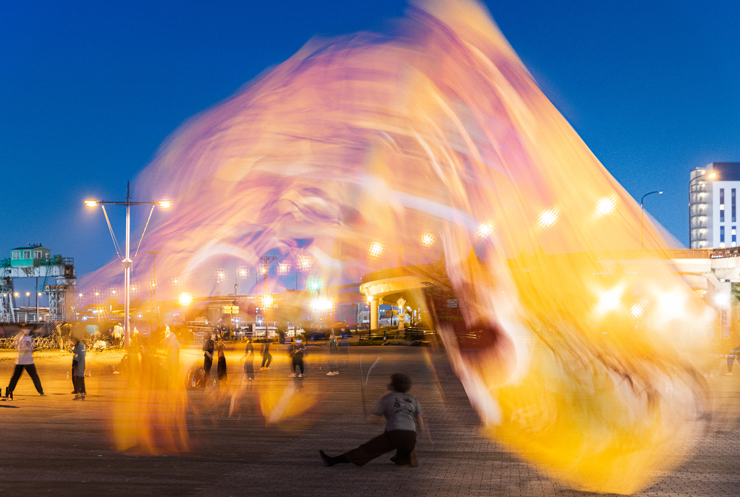 20210721 D850704 Edit