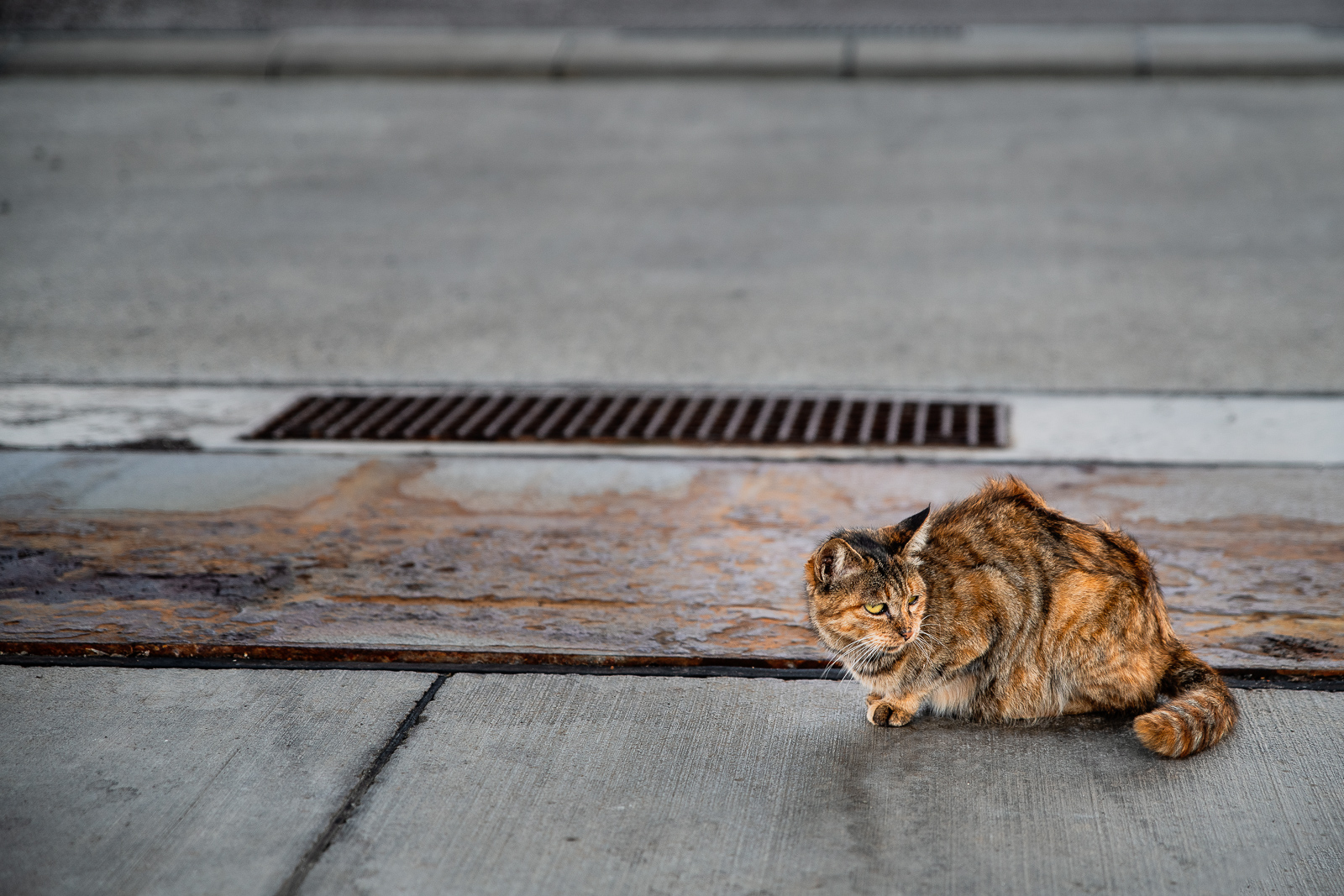 20181027  D858177 Edit