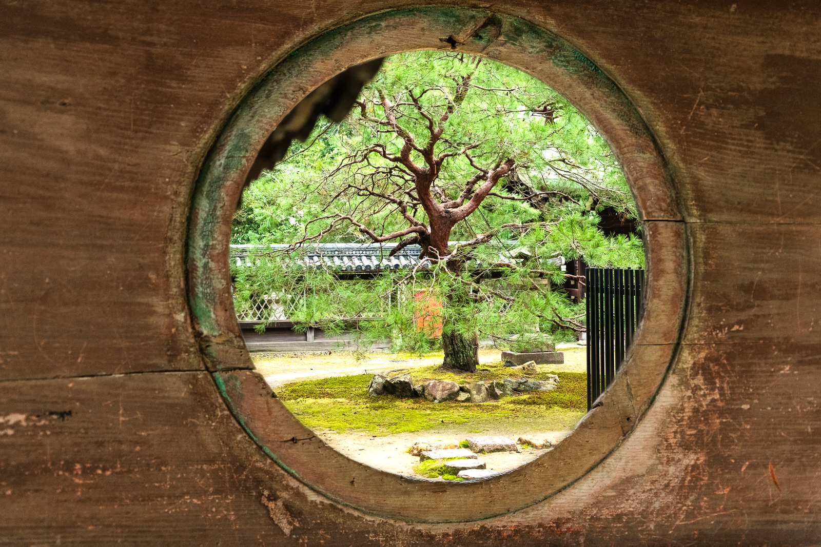 20181223 D850446 Edit