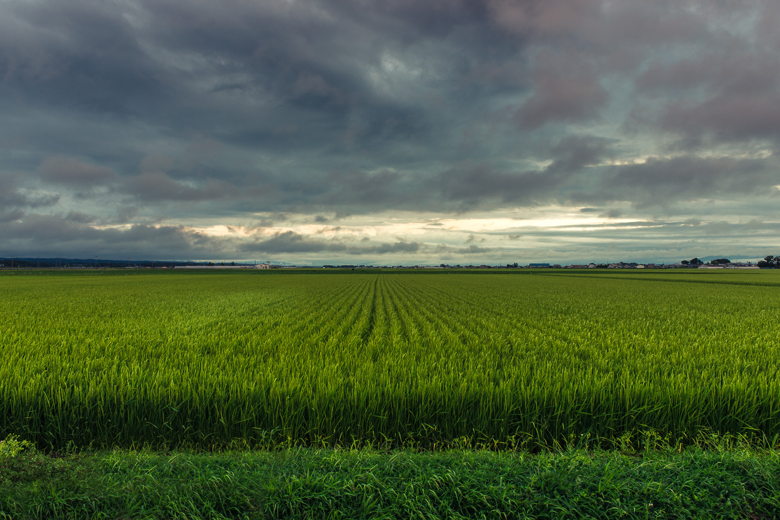 20170814 PRS 0716 Edit