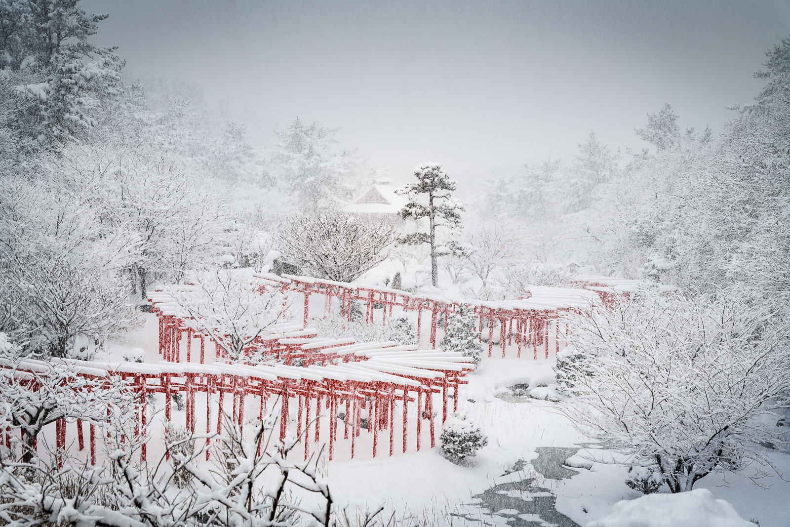 20181231 D850666 Edit