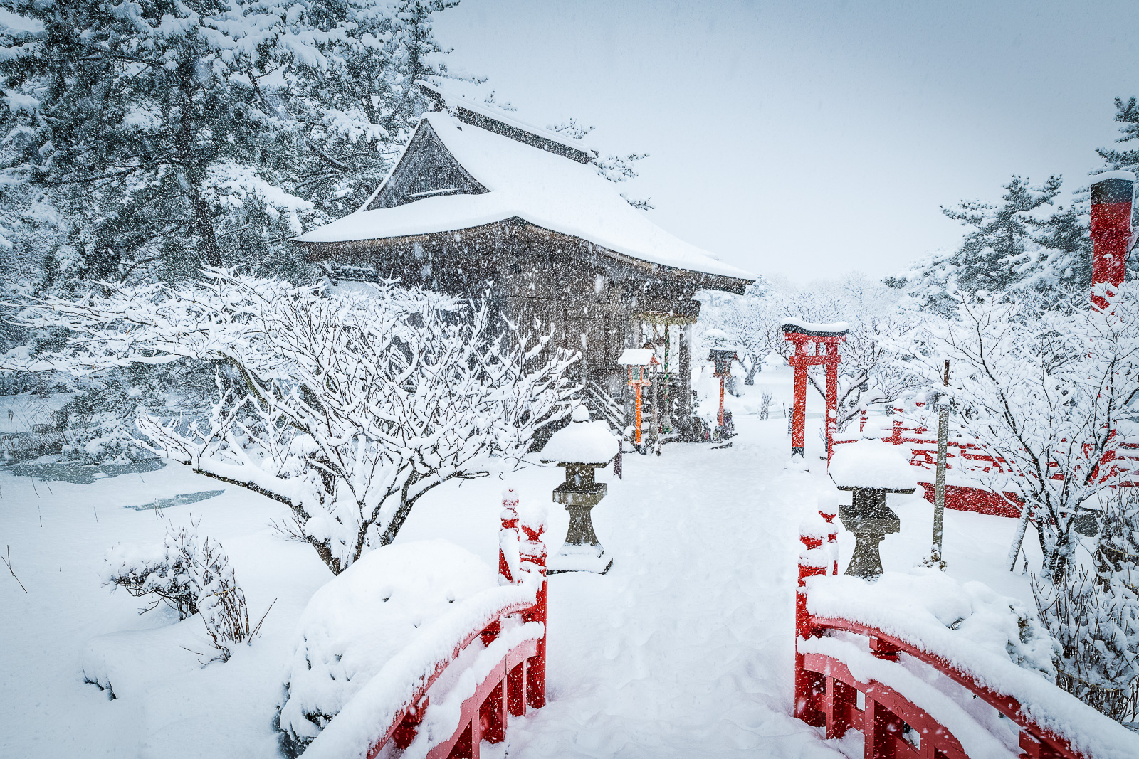 20181231 D850676 Edit