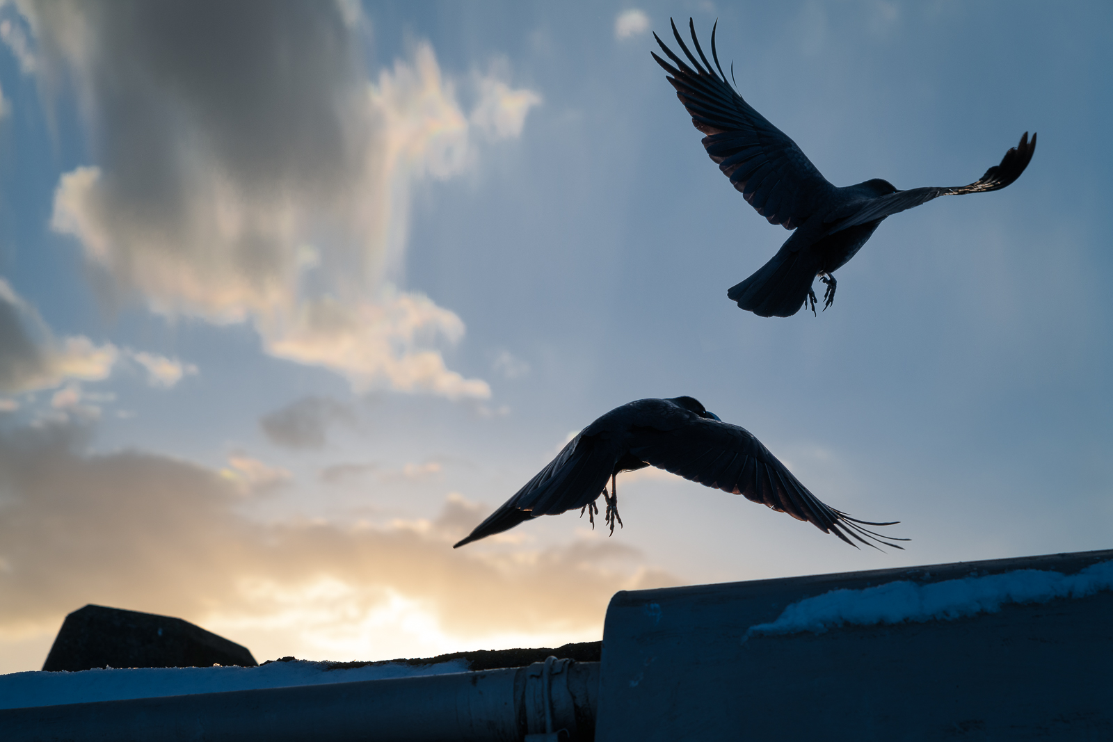 20190202 D850984 Edit 2