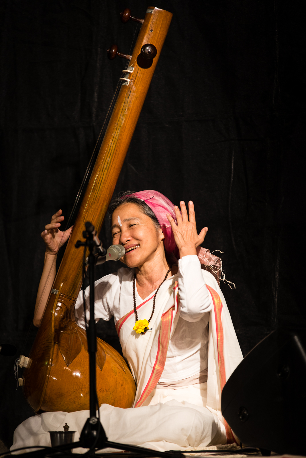 BhogiYogi Ananda Express 2