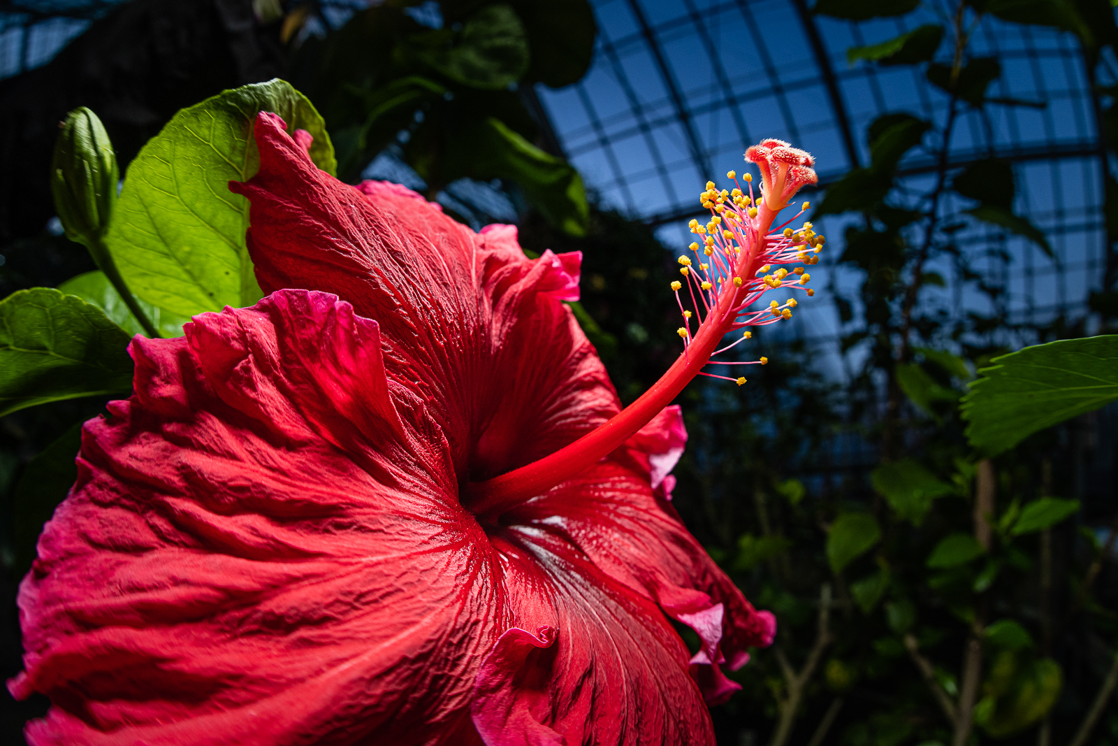 20201206 D851442 Edit